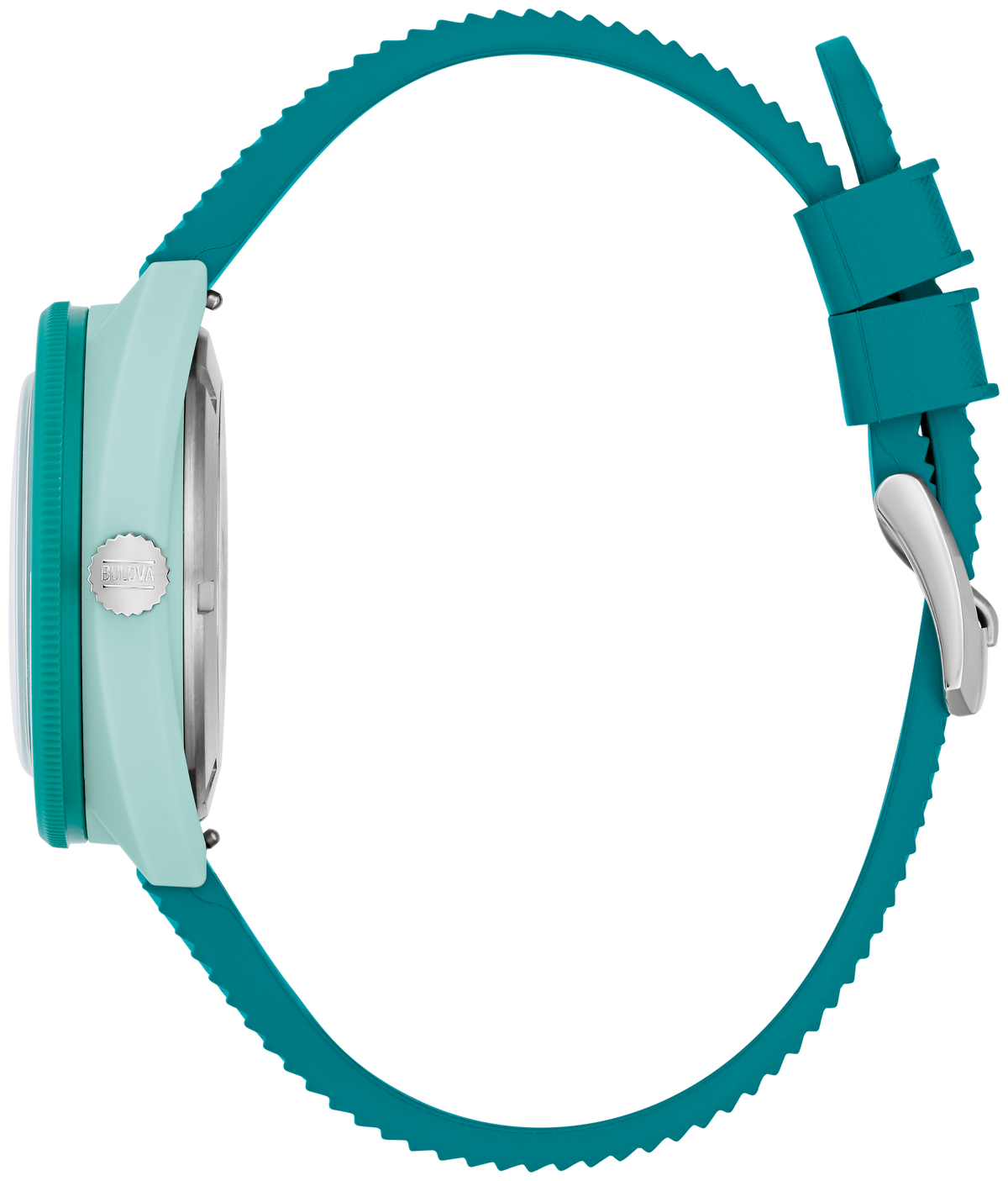Bulova Sea Turtle Snorkel