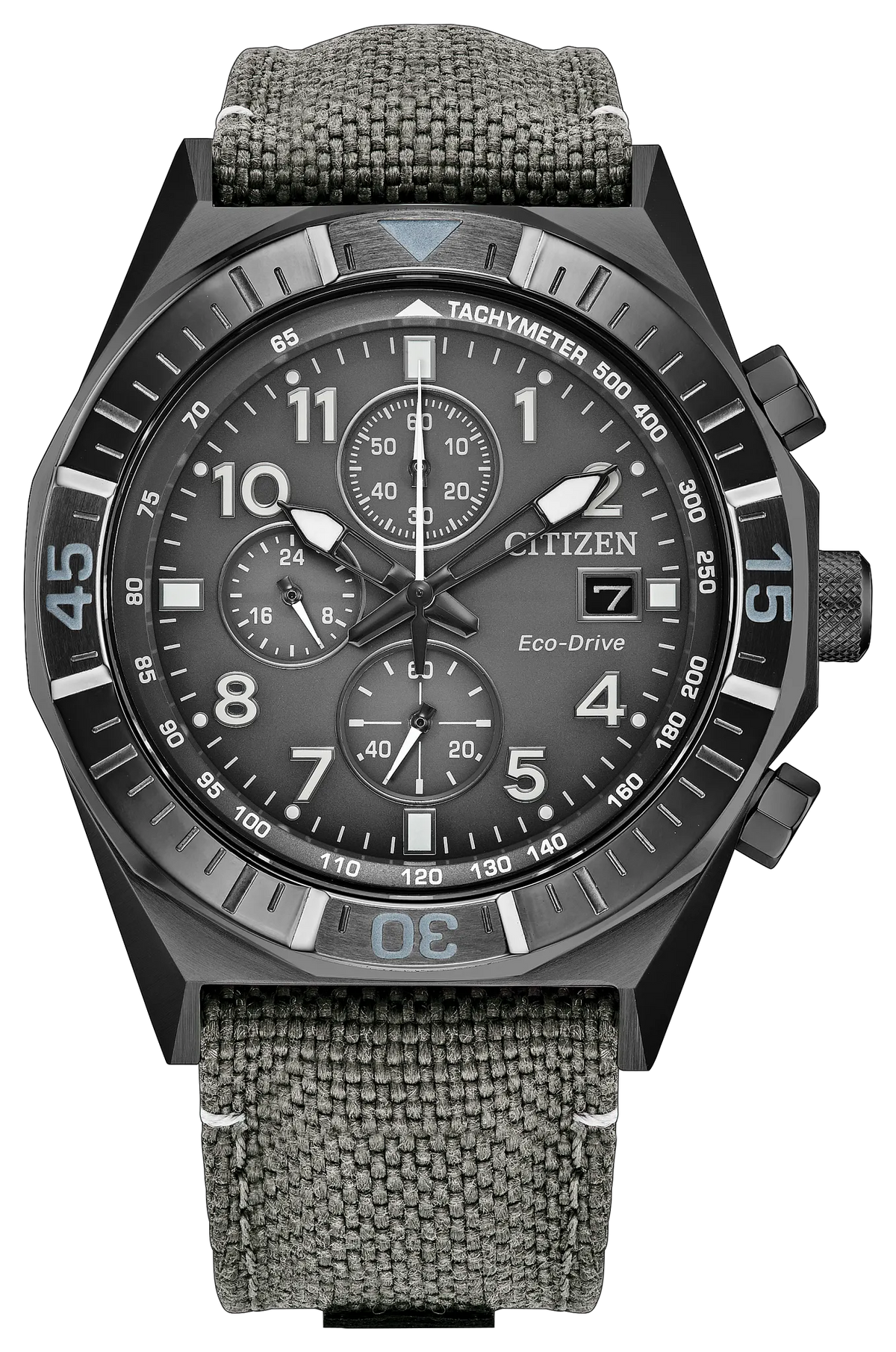 Citizen Nighthawk