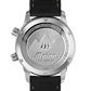 Alpina Seastrong Diver 300 Heritage - AL-525S4H6, view 3