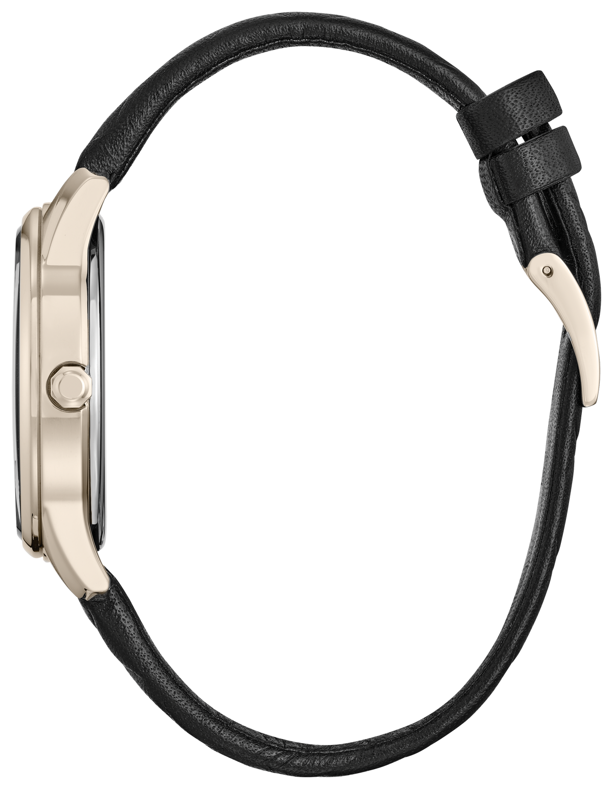 Citizen Eco-Drive Ratatouille