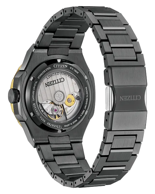 Citizen Series8 The Seasons Winter Limited Edition