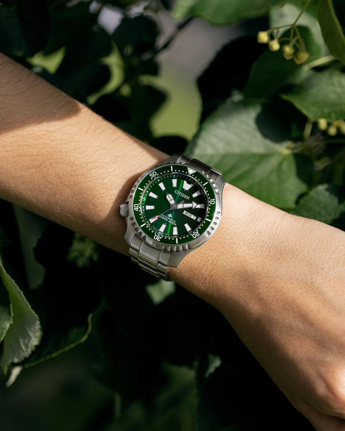 Citizen Promaster Dive Fugu