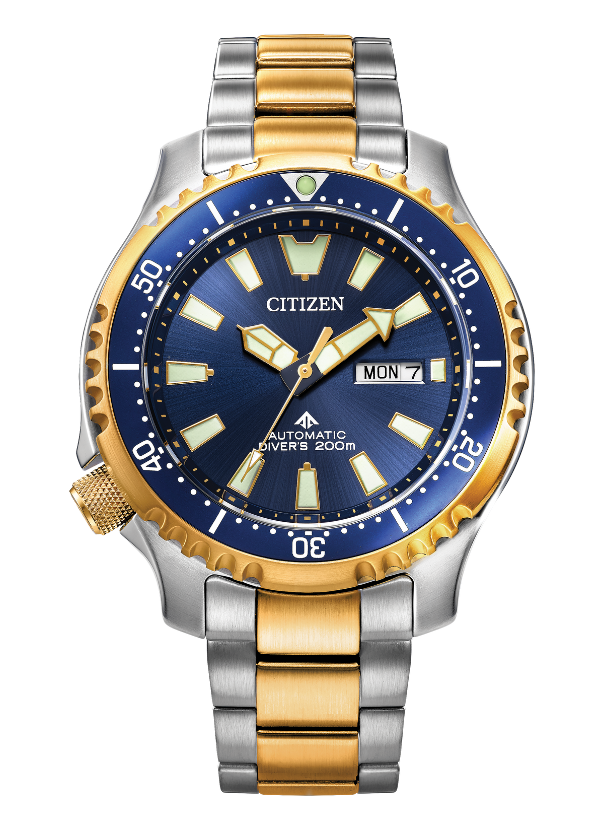 Citizen Promaster Dive