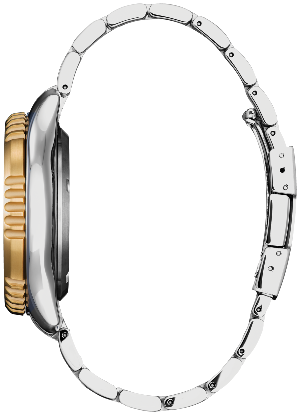 Citizen Promaster Dive