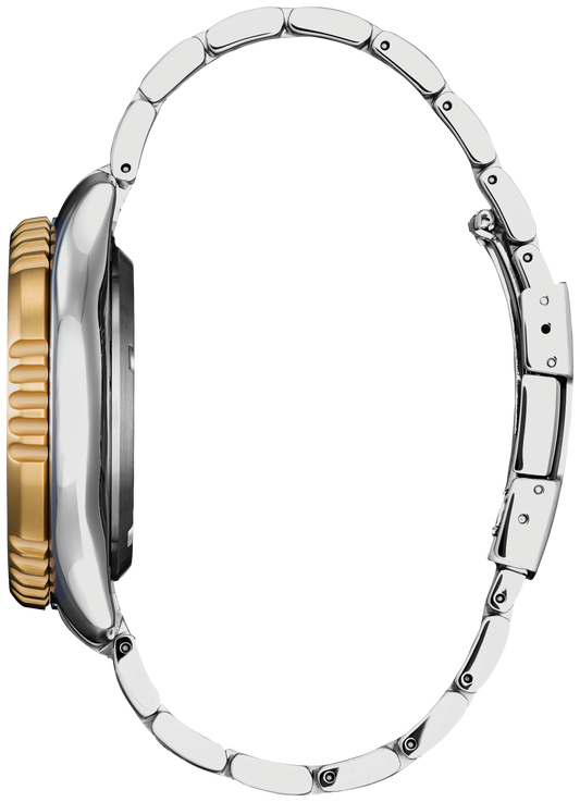 Citizen Promaster Dive