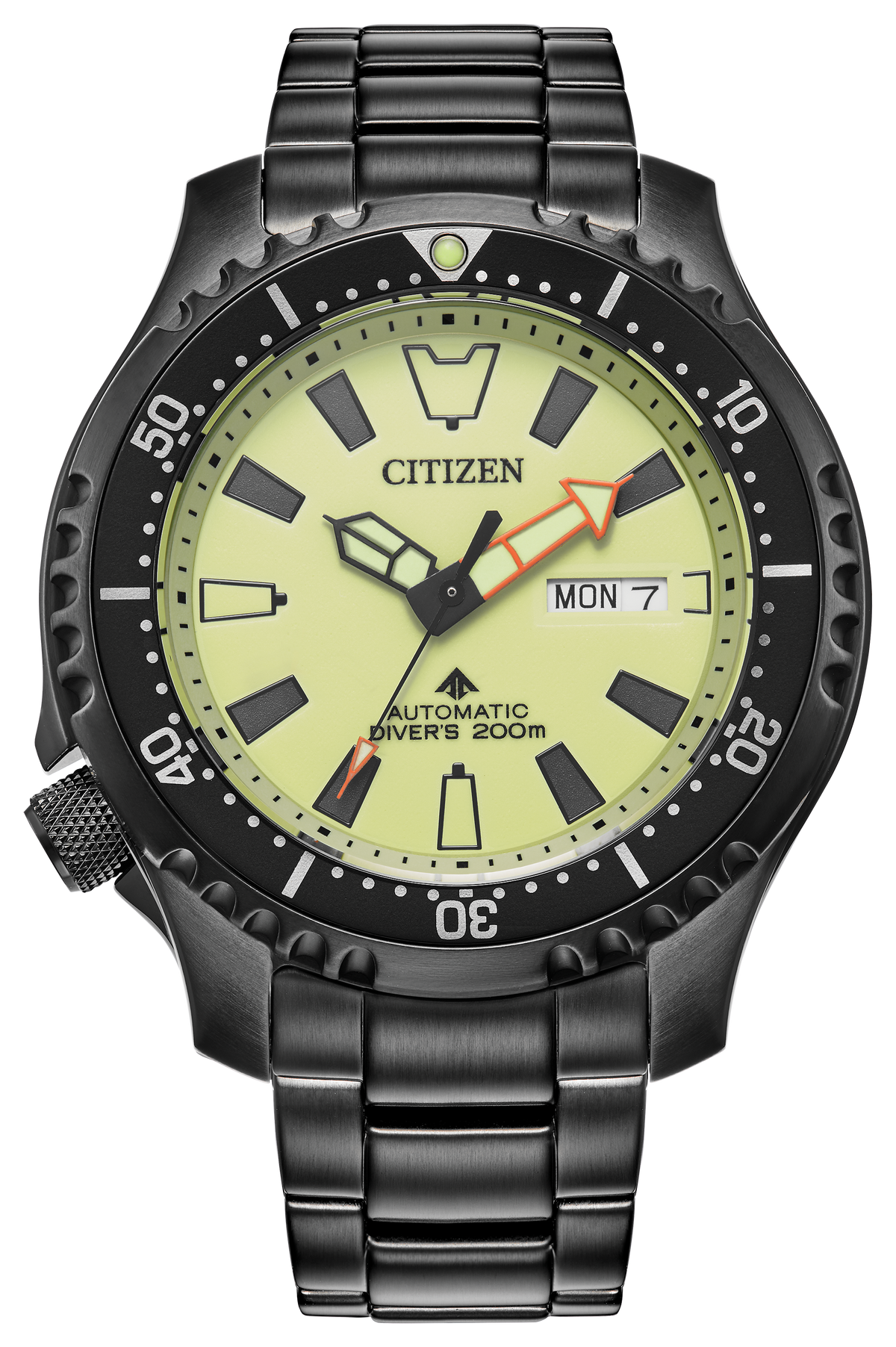 Citizen Promaster Dive Fugu