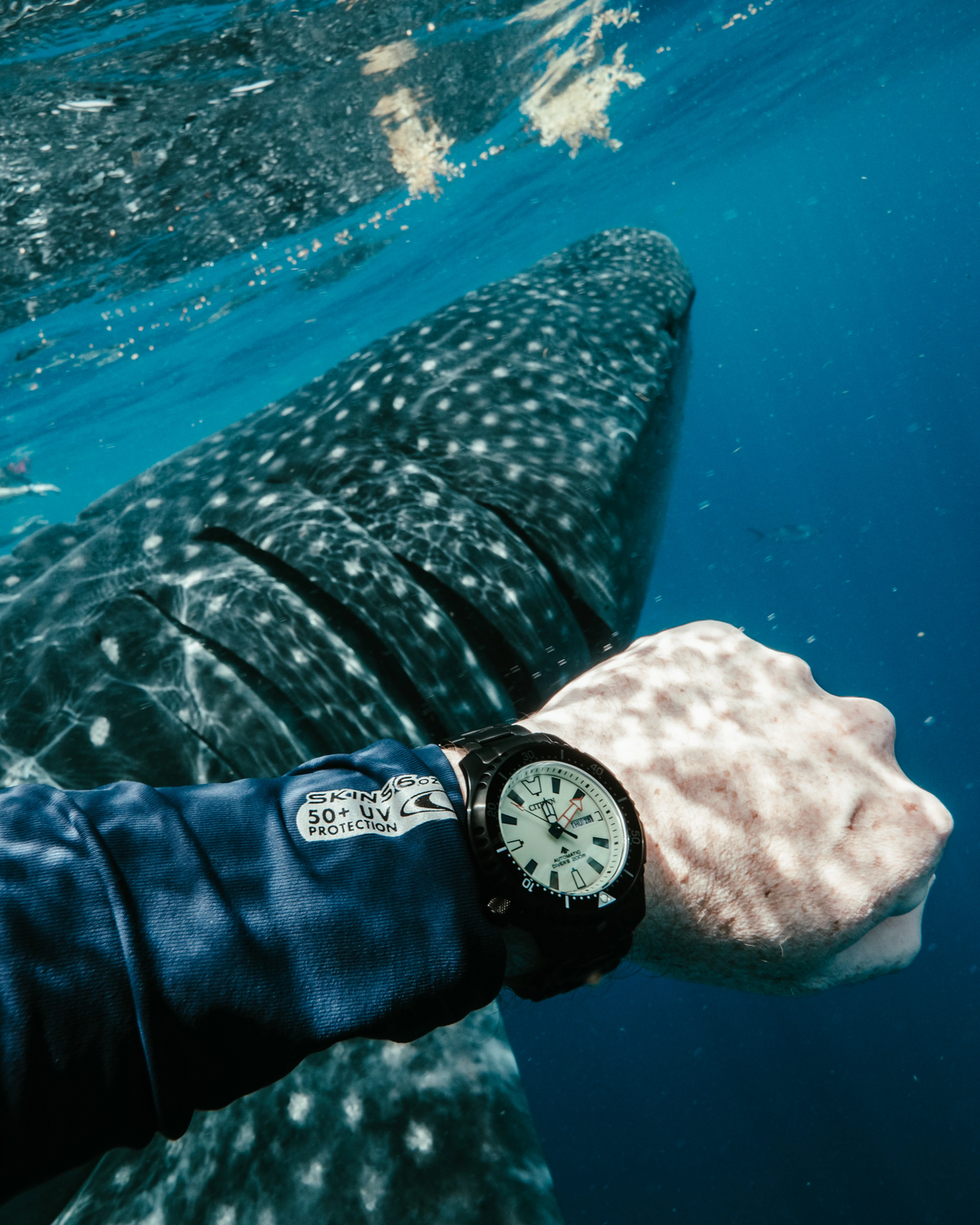 Citizen Promaster Dive Fugu