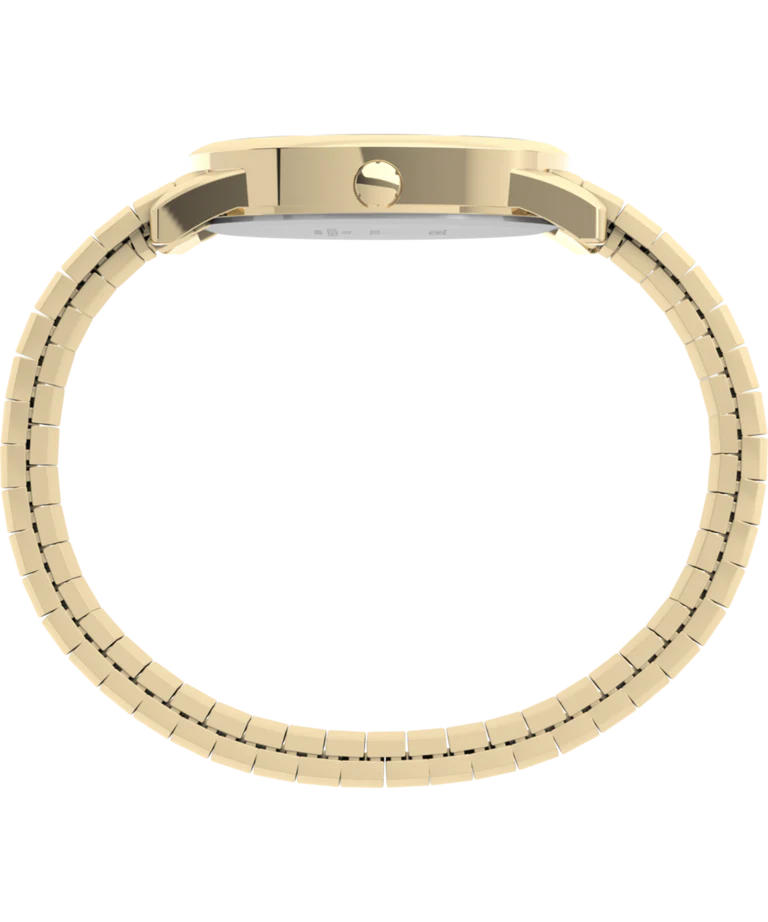 Lector fácil de Timex