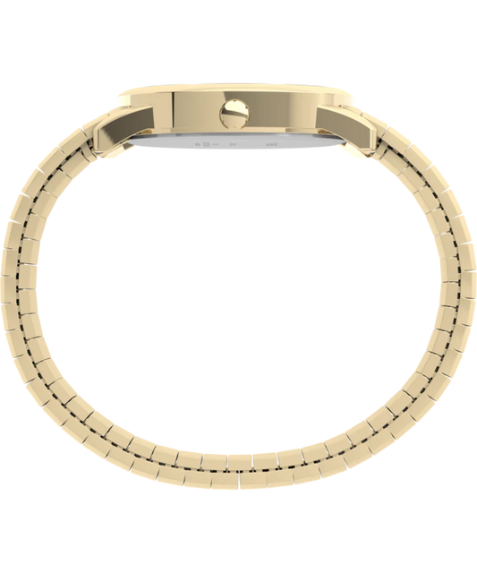 Lector fácil de Timex