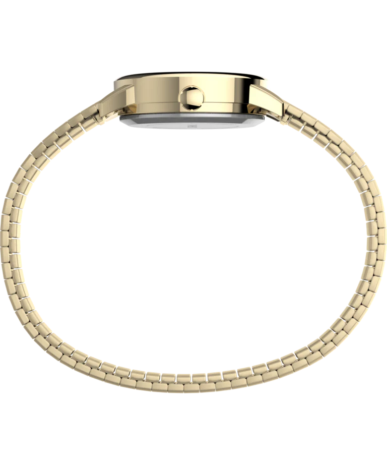Lector fácil de Timex