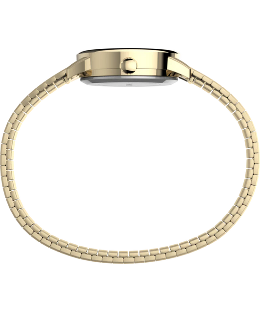 Lector fácil de Timex