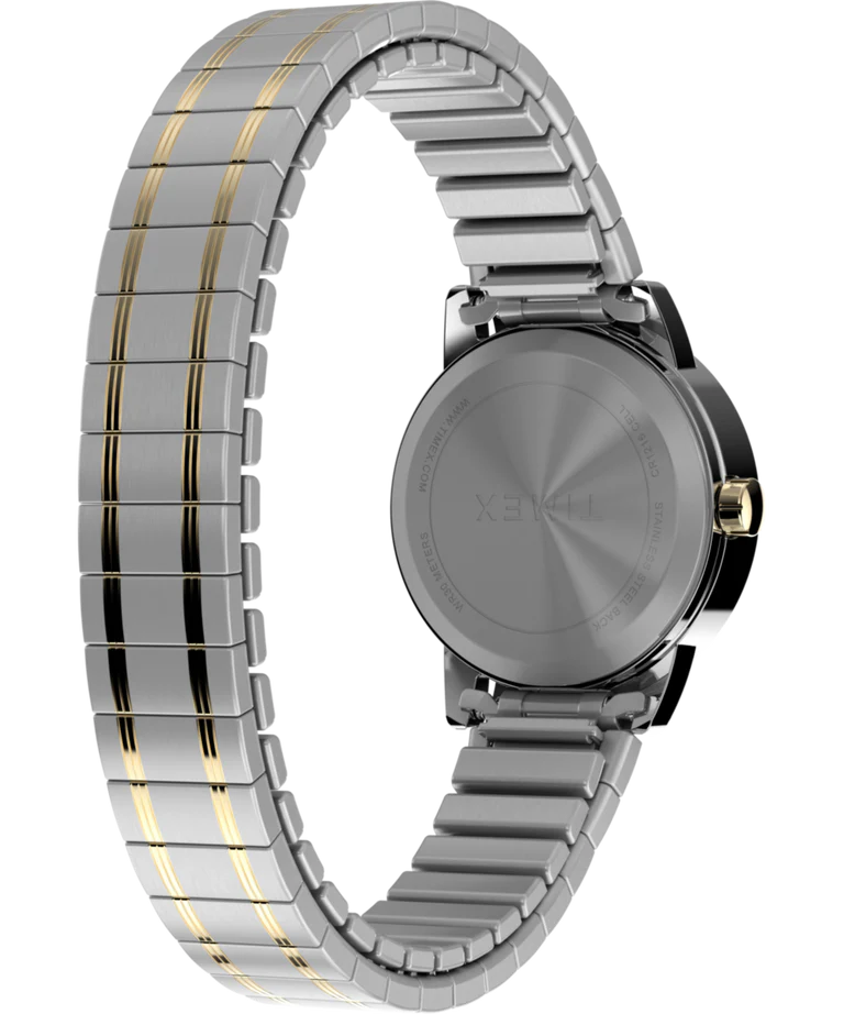 Lector fácil de Timex